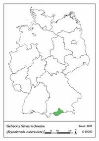 Verbreitung Bryodemella tuberculata