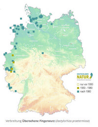 Verbreitung Dactylorhiza praetermissa