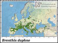 Verbreitung Brenthis daphne