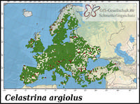 Verbreitung Celastrina argiolus