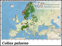 Verbreitung Colias palaeno