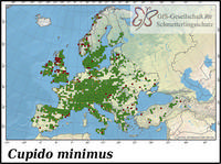 Verbreitung Cupido minimus