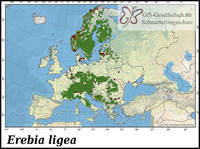 Verbreitung Erebia ligea