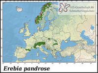 Verbreitung Erebia pandrose