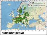Verbreitung Limenitis populi