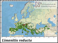 Verbreitung Limenitis reducta