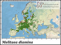 Verbreitung Melitaea diamina