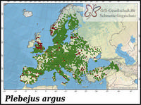 Verbreitung Plebeius argus