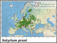 Verbreitung Satyrium pruni