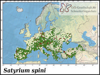 Verbreitung Satyrium spini