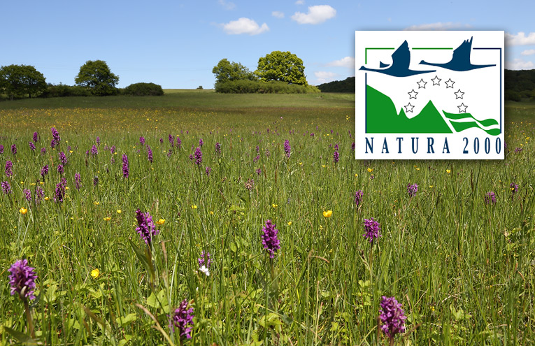 Natura 2000, das europäische Schutzgebietsnetz