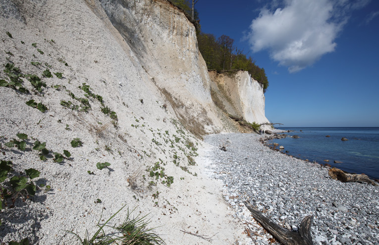 Bewachsene Felsen an Nord- und Ostsee