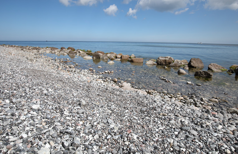 Pflanzenfreie Kies-, Geröll- und Blockstrände an Nord- und Ostsee